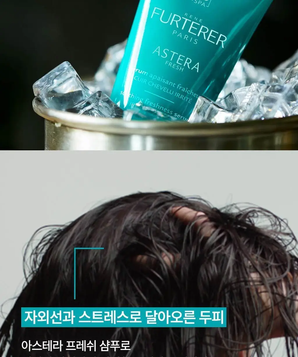 [두피 진정 케어] 르네휘테르 아스테라 프레쉬 진정&쿨링 샴푸 250ml 상세페이지 5
